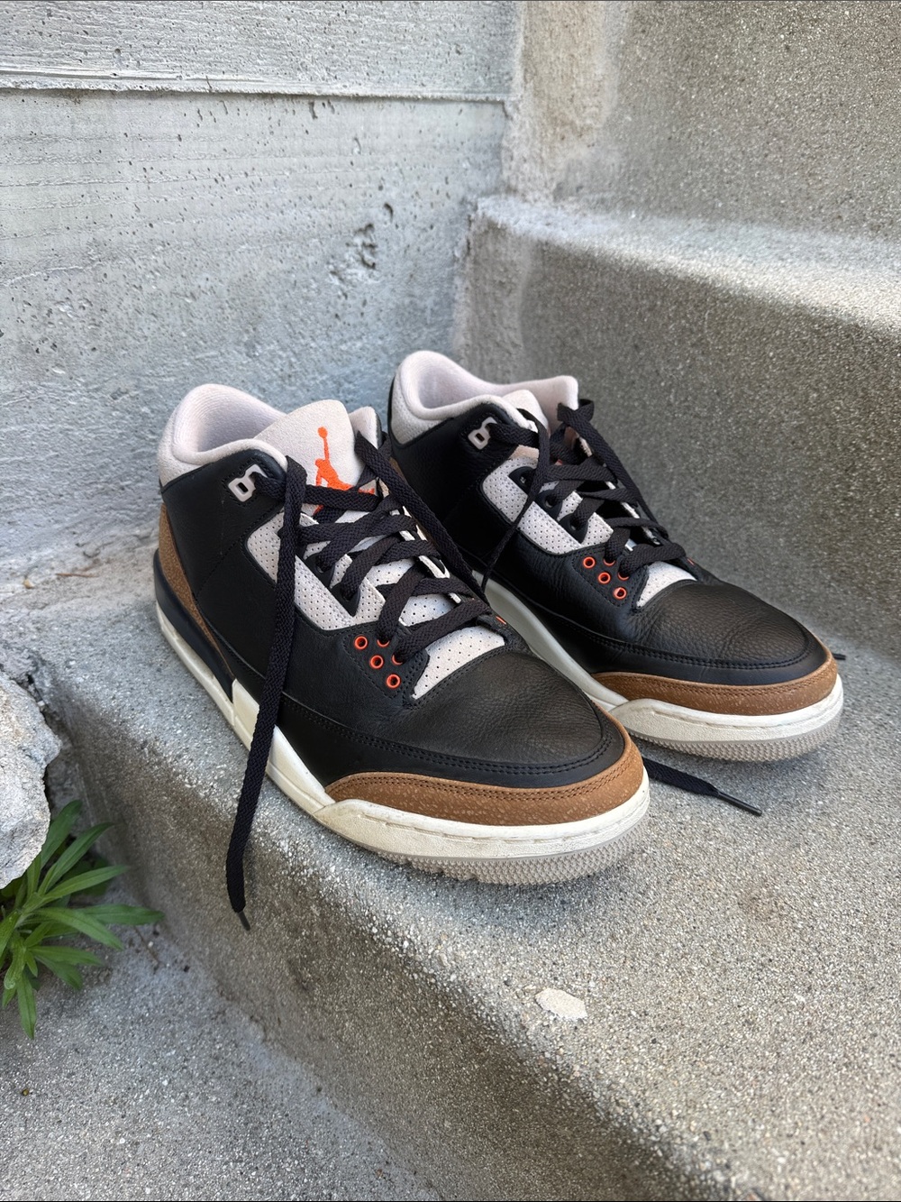 Air Jordan 3 Retro Desert Elephant